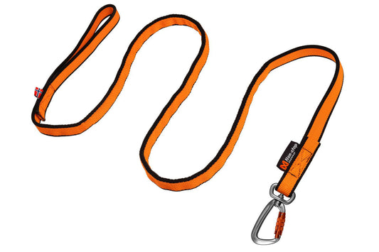 Bungee leash (1)