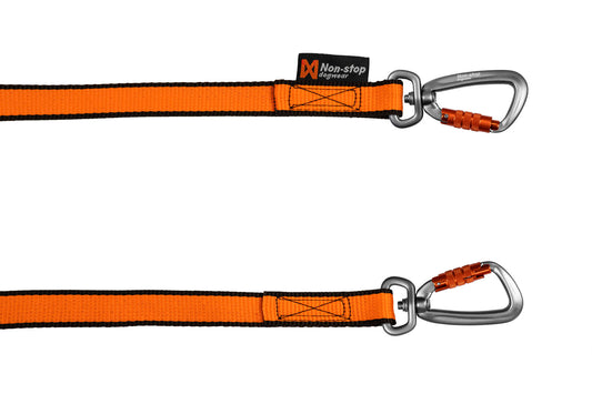 Bungee leash double (1)